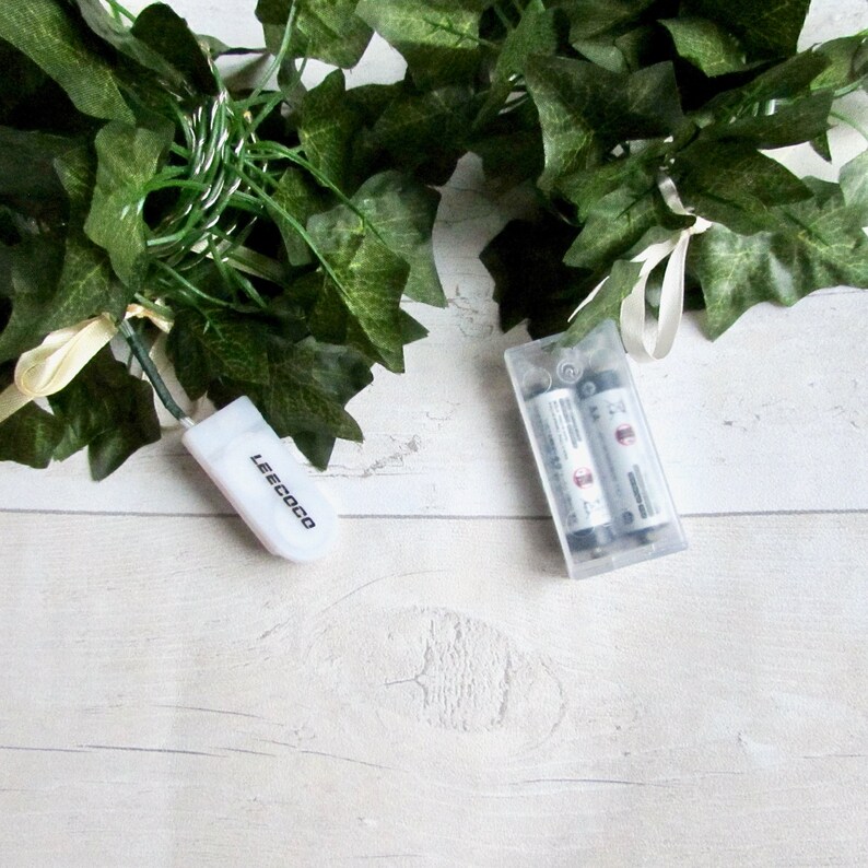 May include: A white battery pack with the text "LEECOCO" on it. The battery pack is connected to a string of green artificial ivy with small white lights. Two AA batteries are visible in the clear battery compartment.