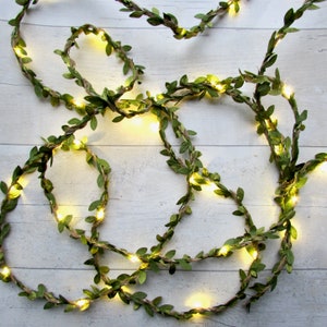 May include: A string of fairy lights wrapped around artificial green leaves. The lights are warm white and create a cosy ambiance.