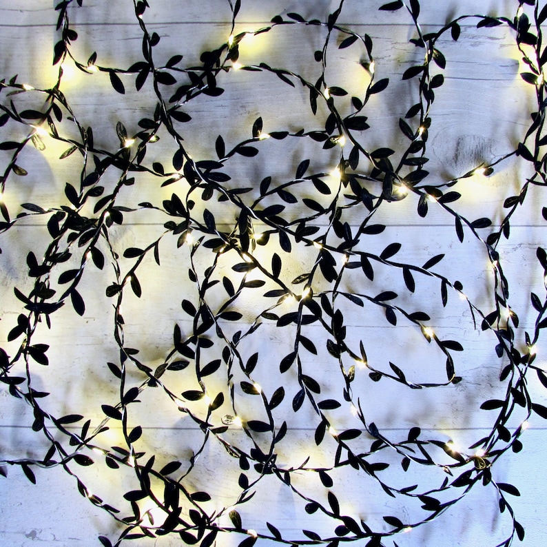 May include: A string of decorative fairy lights featuring thin, flexible wire intertwined with small, matte black leaf-shaped accents. The strand is illuminated by numerous tiny, warm white LED bulbs positioned at intervals along the vine-like structure.