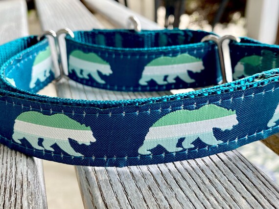 bear dog collar