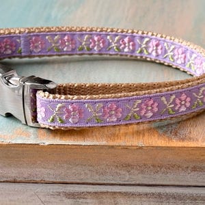 Puede incluir: Un collar para perro lavanda y marr&oacute;n con un patr&oacute;n floral y una hebilla plateada.