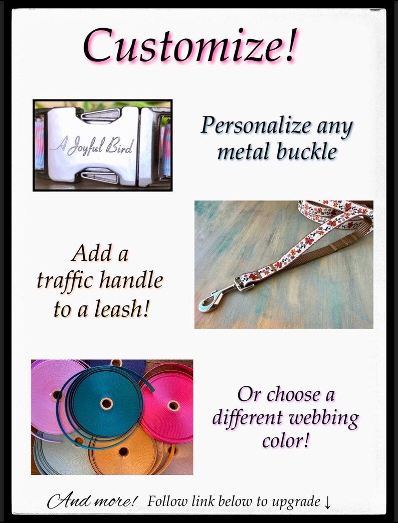 May include: Customize your dog leash with a personalized metal buckle, a traffic handle, or a different webbing color.  The image shows a silver buckle with the text "A Joyful Bird" engraved on it, a brown leash with a floral pattern, and a variety of colorful webbing.