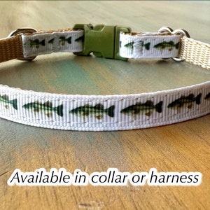Dat Bass Tho Breakaway Cat Collar or Walking H Style Cat Harness Fishing White Cat Collar or Kitten Collar Kitten Harness Safety Cat Collar