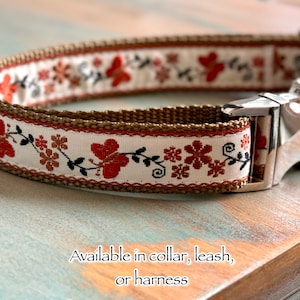 Brown Moth Dog Collar Dog Leash or Dog Harness Copper Dog Collar Boy or Girl Dog Collar Dog Harness Flower Dog Gear