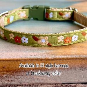Juniper Moss Breakaway Cat Collar • or H Style Harness • 3/8” Lightweight Vest • Green Floral Embroidered