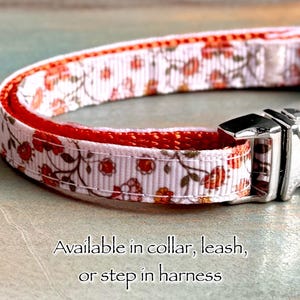 May include: A white ceramic mug with a black handle and the text "But First, Coffee" in a bold, black font. The mug is set against a blurred background, highlighting its clean design.