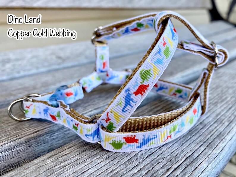 Dinosaur 3/8 Dog Collar Harness or Leash Dinosaur Dog Etsy