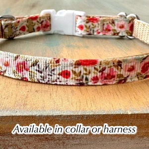 Summer Rose Breakaway Cat Collar or Walking H Style Cat Harness Floral Cat Collar or Kitten Collar Kitten Harness Safety Cat Collar