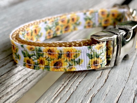 sunflower dog harness
