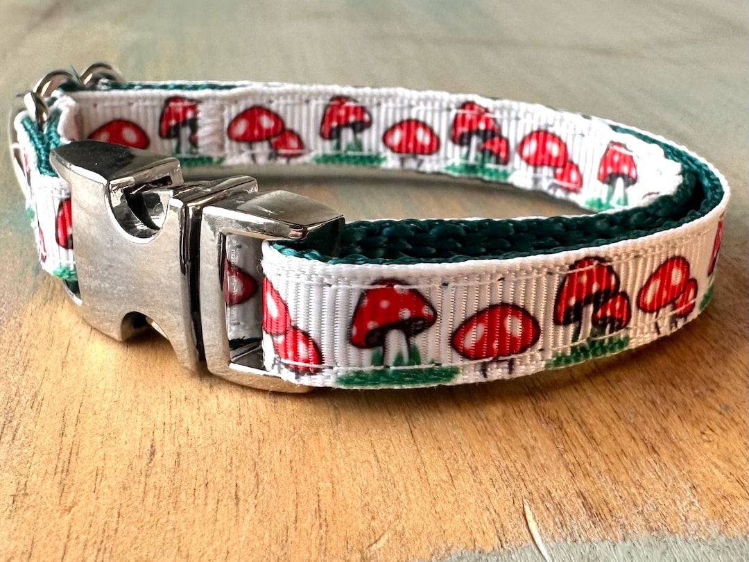 Toadstool Teacup Dog Collar Dog Leash or Stepin Dog Harness for Dogs
