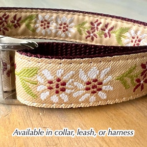 Daisy Fields Dog Collar Dog Leash or Dog Harness Jacquard Dog Collar Brown Floral Dog Harness for Girls Floral Dog Collar Step in Harness