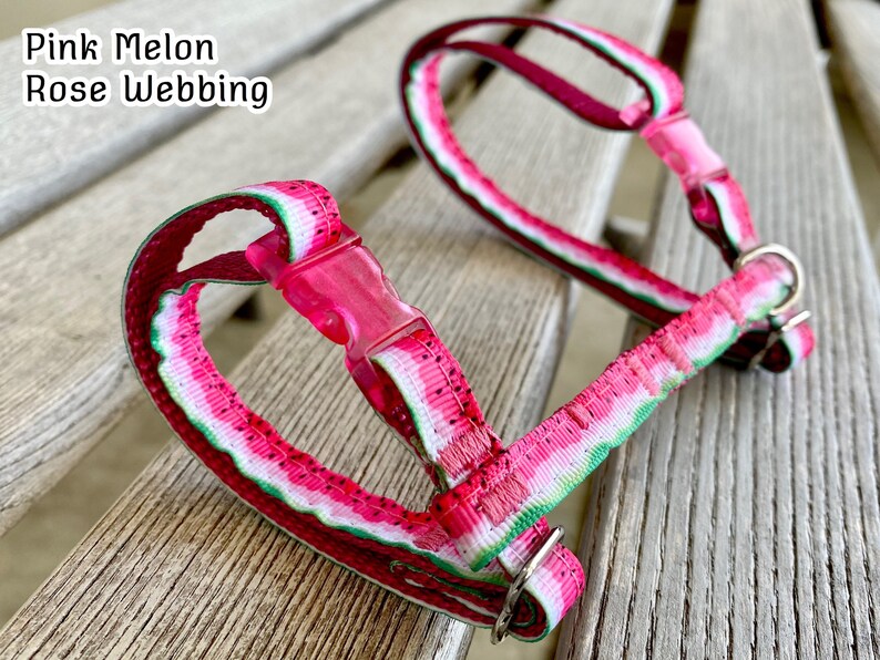 Fresh & Foody Cat Harnesses Sushi Harness and Leash Set H Etsy