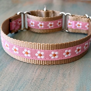 May include: A tan nylon collar featuring a pink ribbon overlay with a repeating white and orange daisy flower pattern. The collar includes silver-toned metal hardware, including a sliding adjuster and a D-ring for attachment, with a woven texture.