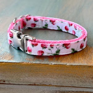May include: A pink and white dog collar with a floral pattern of red roses and green leaves. The collar has a silver metal buckle and a pink interior. The collar is made of a sturdy, woven material.