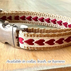 Sweet Hearts Dog Collar Leash or Harness Red Hearts Love Dog Collar Minimalist Fancy Dog Collar Valentines Day