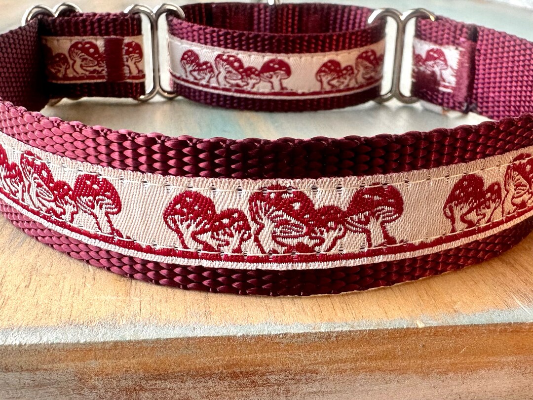 Magic Mushroom Martingale Dog Collar or Leash Jacquard Humane Choke
