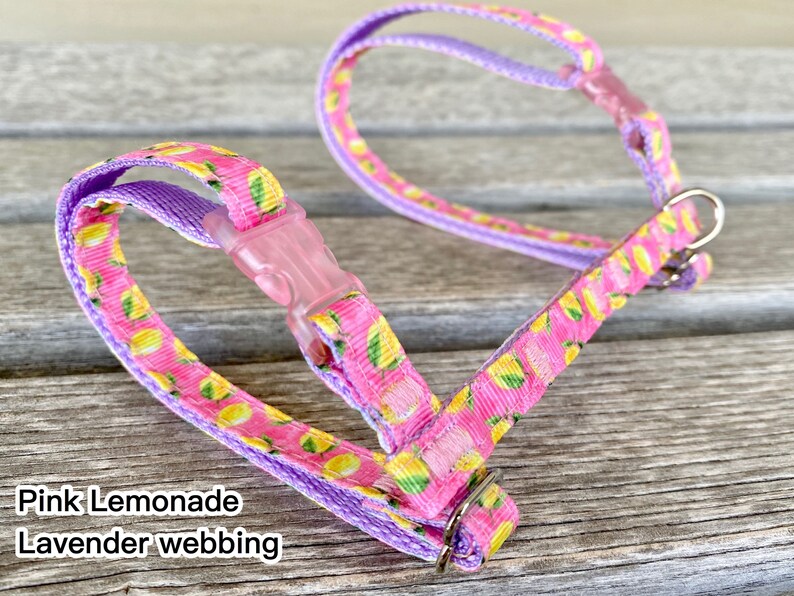 Fresh & Foody Cat Harnesses Sushi Harness and Leash Set H Etsy