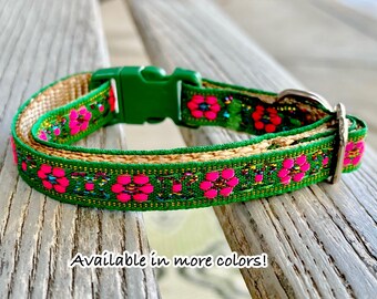 girl kitten collars