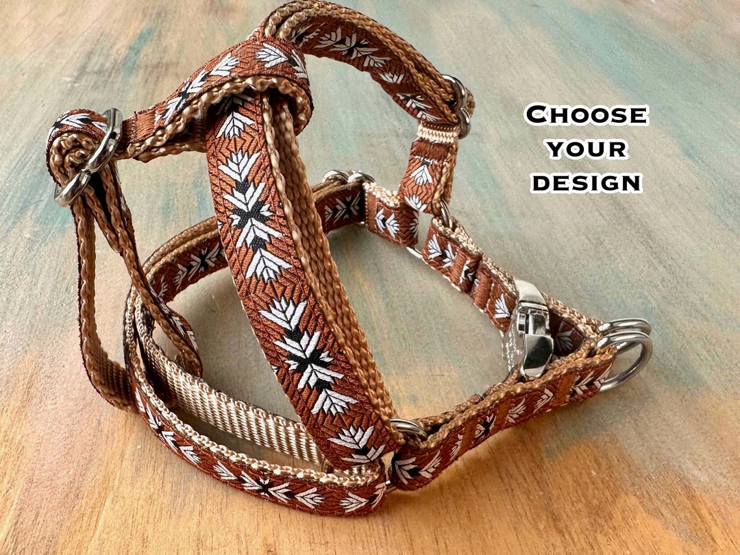 Southwest Stepin Dog Harness for Boy Dog or Girl Dog Harness Nylon