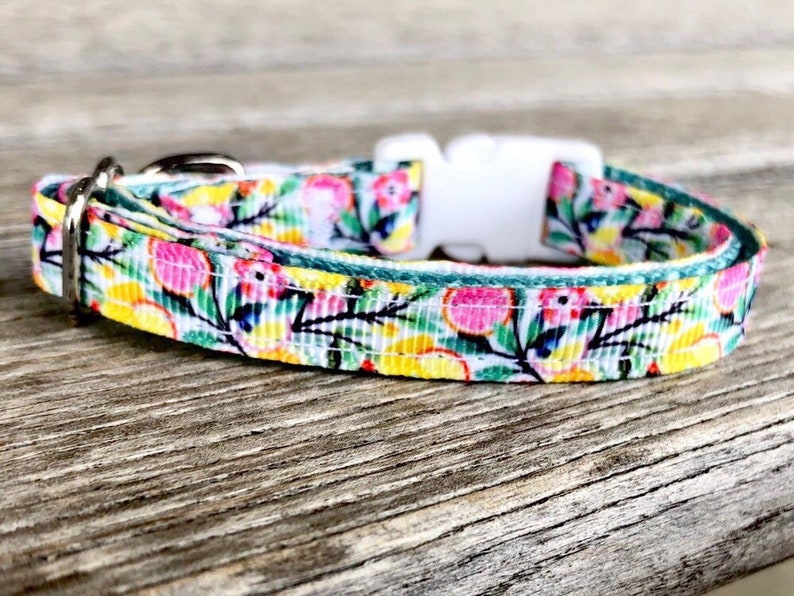 etsy breakaway cat collars