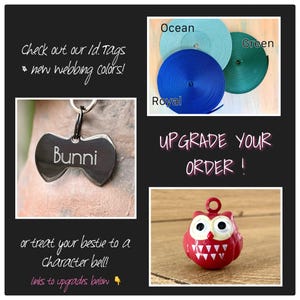 May include: An image featuring pet accessories. A silver dog tag with the name "Bunni" is displayed. Rolls of blue, green, and teal webbing are shown. A red owl-shaped bell is also visible. Text reads "Check out our ID tags & new webbing colors!" and "Upgrade your order!"