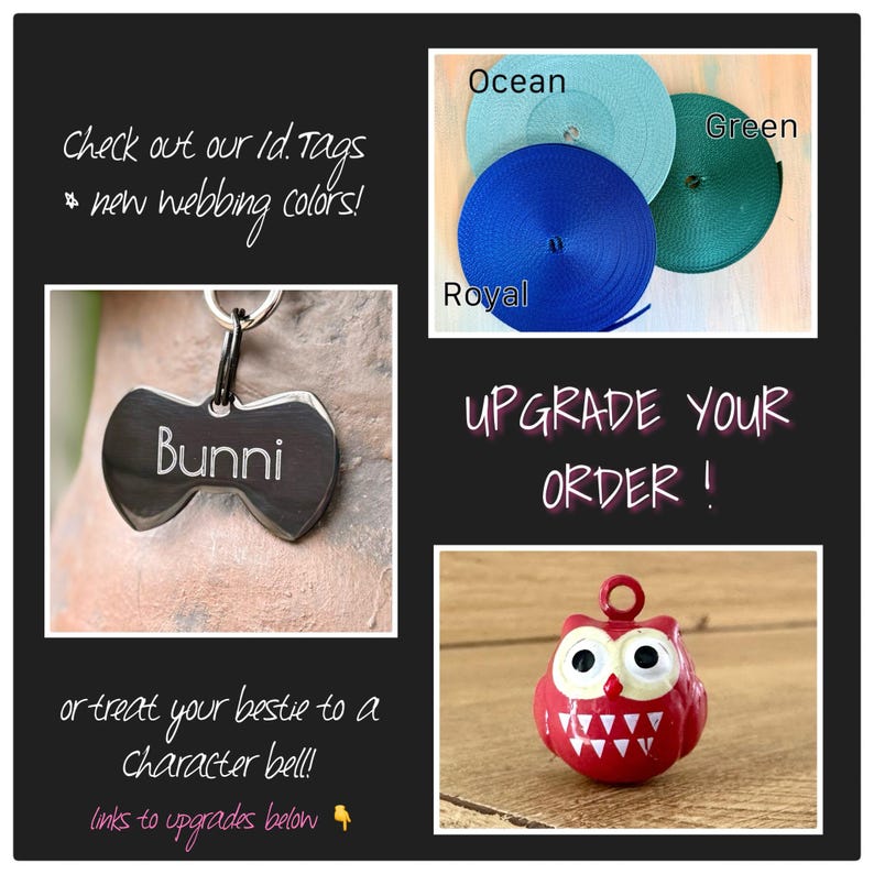 May include: An image featuring pet accessories. A silver dog tag with the name "Bunni" is displayed. Rolls of blue, green, and teal webbing are shown. A red owl-shaped bell is also visible. Text reads "Check out our ID tags & new webbing colors!" and "Upgrade your order!"