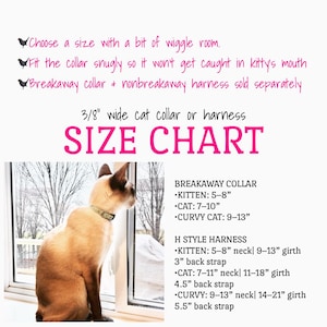 May include: A Siamese cat wearing a collar sits by a window, with a size chart for cat collars and harnesses. The chart includes measurements in inches for kittens, cats, and curvy cats, detailing neck and girth sizes.