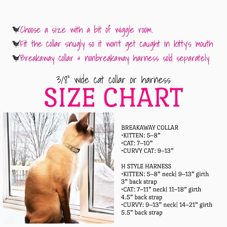 May include: A Siamese cat wearing a collar sits by a window, with a size chart for cat collars and harnesses. The chart includes measurements in inches for kittens, cats, and curvy cats, detailing neck and girth sizes.