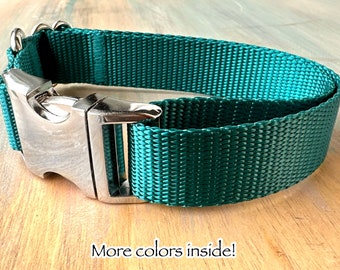 Simply Stylish Dog Collar Leash or Harness Nylon Webbing Dog Gear Minimalist Dog Collar or Step-in Harness High Quality Side Release Buckle