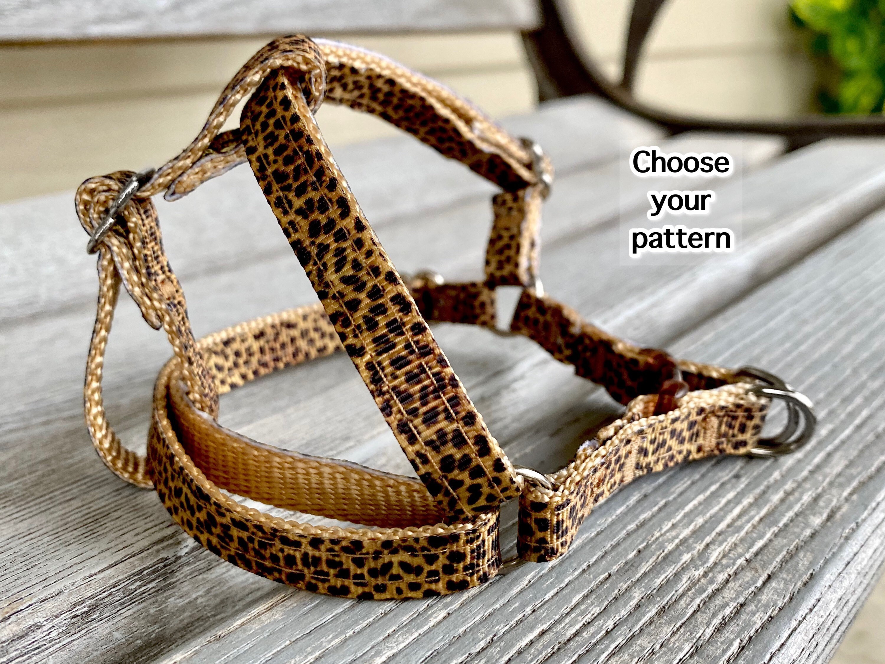 seresto cat collar ticks australia