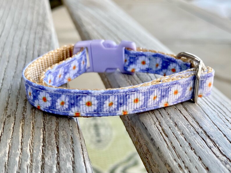 Periwinkle Daisy Cat Collar Violet Cat Collar Floral Kitten Etsy