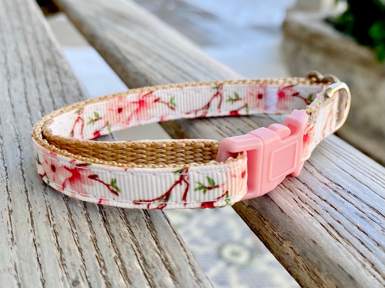 Cherry Blossom Cat Collar or Harness Japanese Cat Collar Etsy