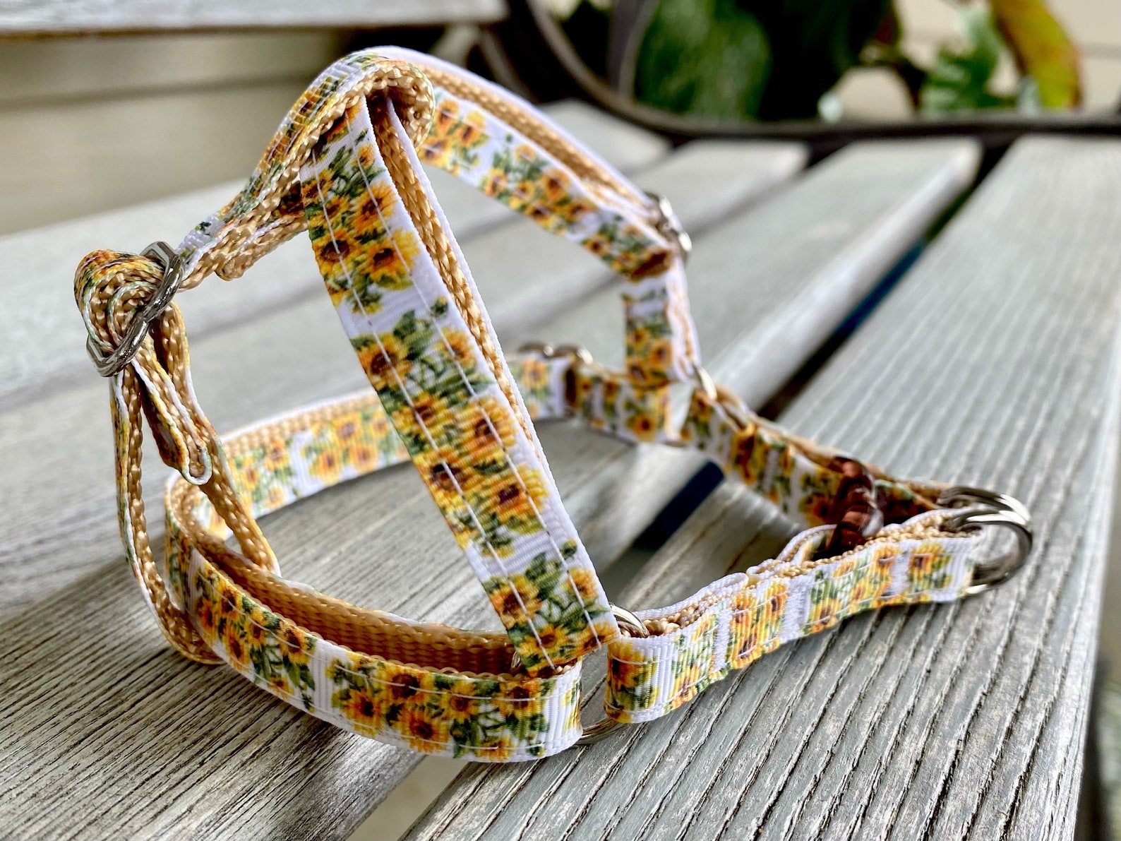 Sunflower 3/8 Dog Collar Harness or Leash Floral Etsy