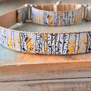 Collar o correa para perro Montrose Aspen Martingale, collar de estrangulamiento humanitario Jacquard, collar de abedul, collar para whippet, lebrel, naturaleza, árboles, bosque