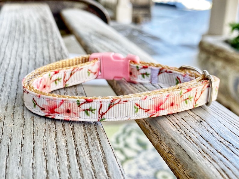 Cherry Blossom Cat Collar or Harness Japanese Cat Collar Etsy