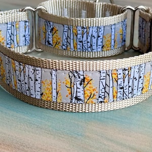 May include: Tan dog collar with a birch tree design. The collar features a light gray band with white birch trees and yellow foliage. The collar is made of a durable material and has a metal clasp.