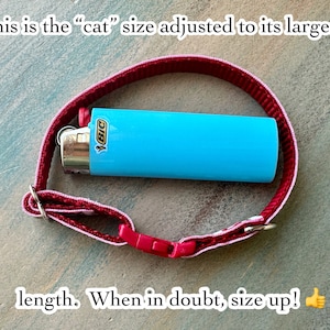 May include: A red and white cat collar with a plastic clasp, next to a blue BIC lighter. The text on the image reads, "This is the 'cat' size adjusted to its largest length. When in doubt, size up!"