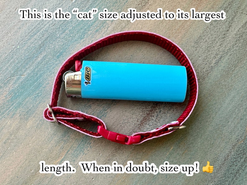 May include: A red and white cat collar with a plastic clasp, next to a blue BIC lighter. The text on the image reads, "This is the 'cat' size adjusted to its largest length. When in doubt, size up!"