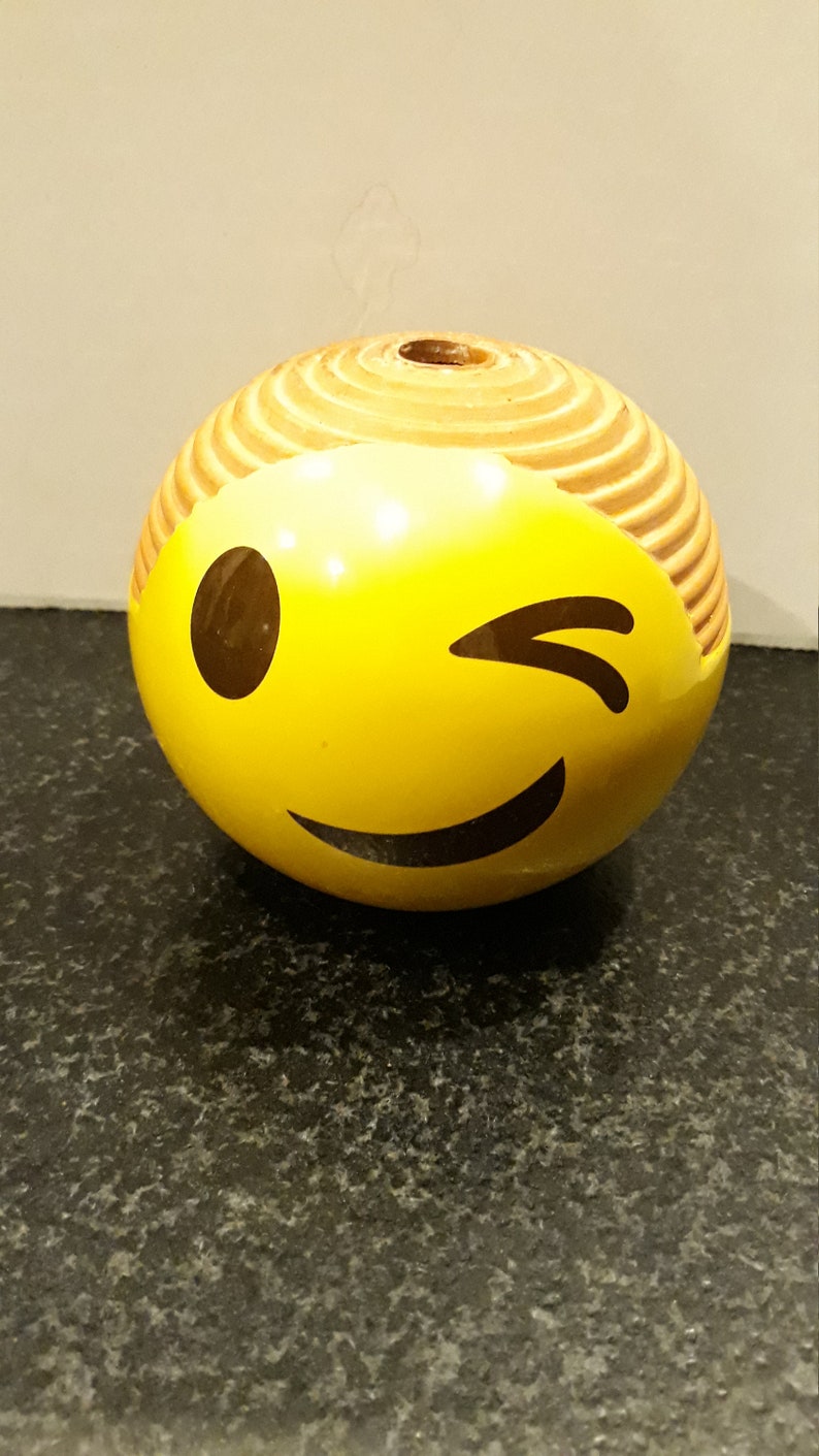 Winking Smiley Face Chia Pet Used Base Only No Scratches Etsy