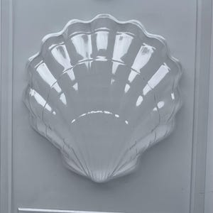 May include: A clear, plastic seashell-shaped mold. The mold is designed with a detailed shell pattern and is set within a rectangular frame. The plastic is transparent, allowing for easy viewing of the molded item.