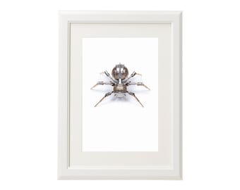 Framed - Christopher Conte Limited Edition Signed and Numbered Giclée Print - Bellona (Gold/Silver) 17" x 13"