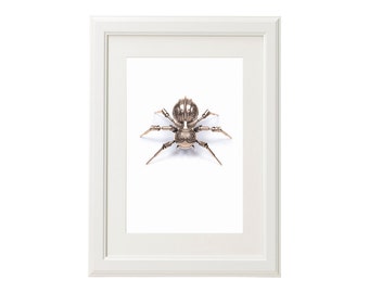 Framed - Christopher Conte Limited Edition Signed and Numbered Giclée Print - Bellona (Gold) 17" x 13"