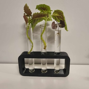 3D-print propagatiestation STL-bestand van DIYHYDROPONIC