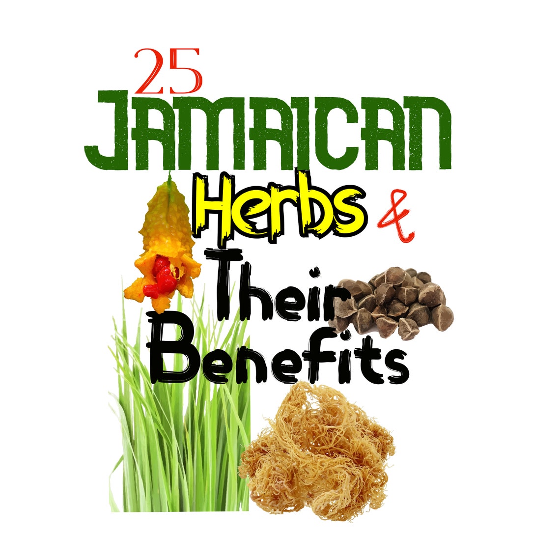 25 Jamaican Herbs and Their Benefits Etsy