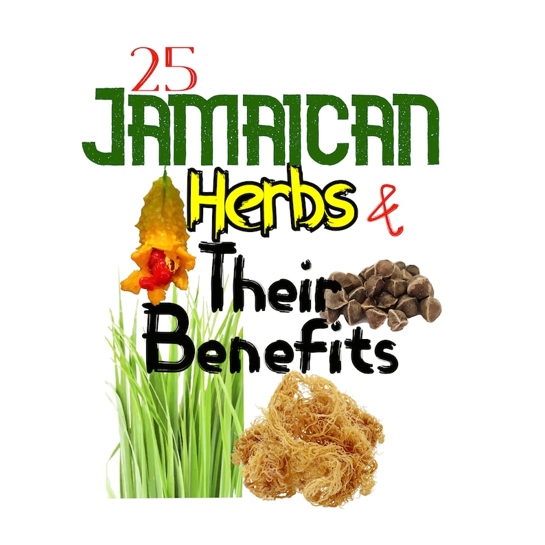 25 Jamaican Herbs And Their Benefits Etsy Free Download Nude Photo