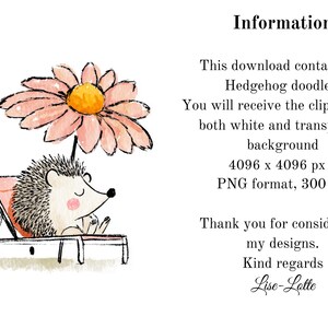 May include: Watercolor illustration of a hedgehog relaxing on a beach chair under a large flower umbrella. The image includes the text "Information" and details about the download, including 20 hedgehog doodles.