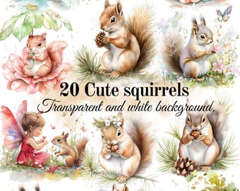 Squirrel, clipart, PNG bundle, watercolor style illustrations, scrapbooking, cardmaking, digital download, sublimation, commercial use.