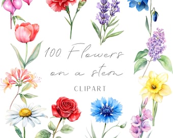 100 flowers on a stem clipart watercolor style botanical images for printing, POD high quality digital download all season use scrapbooking
