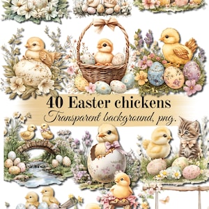 May include: A set of 40 digital images featuring cute cartoon Easter chicks in various poses with eggs and spring flowers. The images have a transparent background and are perfect for crafting projects, scrapbooking, and digital design.