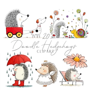 May include: Watercolor clipart featuring whimsical hedgehogs in various scenes. One hedgehog rides in a red wagon, another shelters under an umbrella, and another sunbathes under a flower. The text "Doodle Hedgehogs Clipart" is also included.